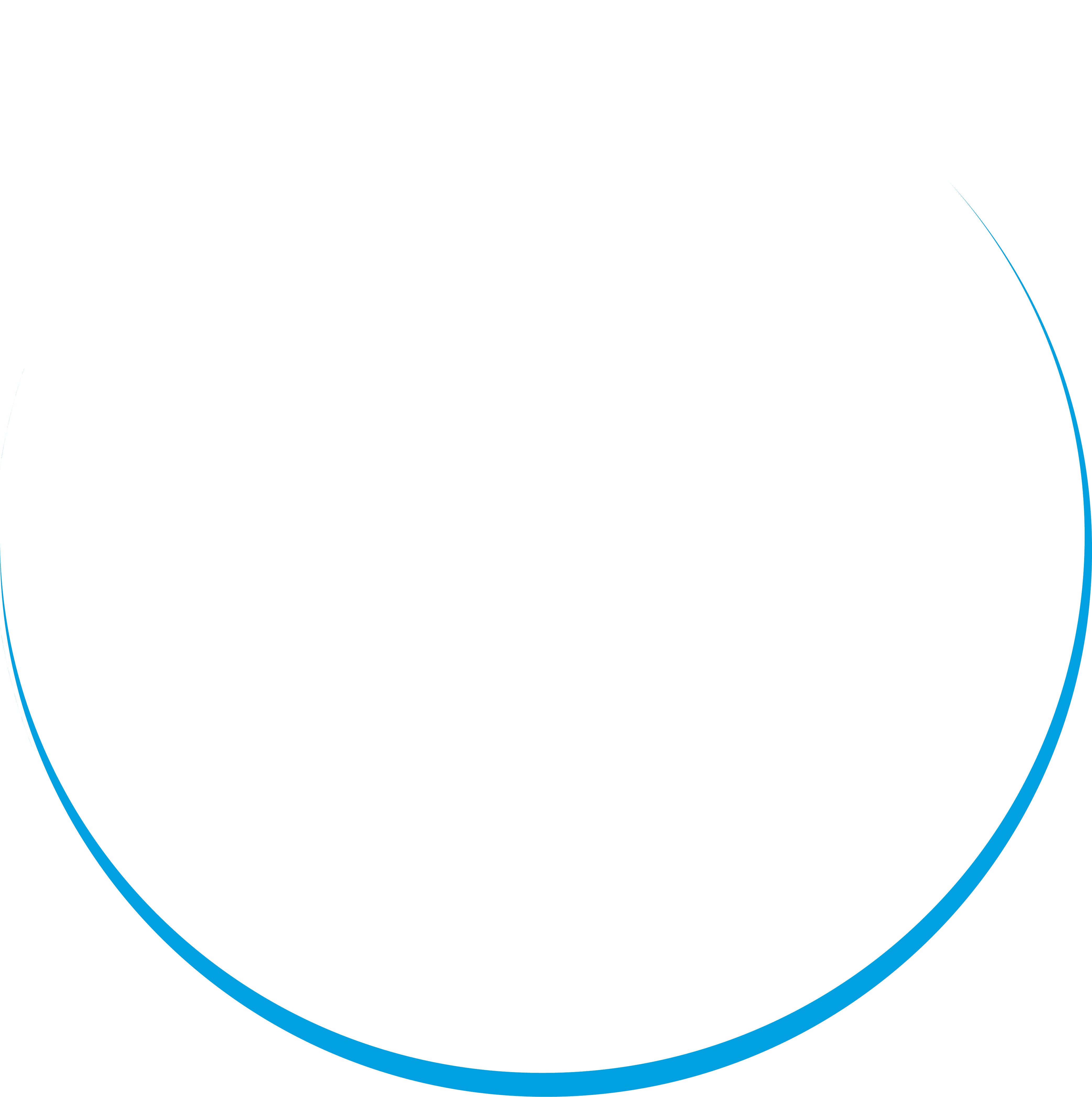Logo du Château Roumanières